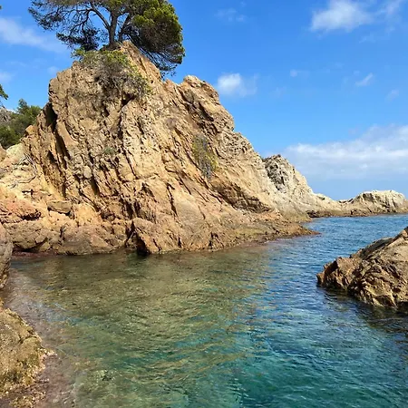 Hotel Lm Lloret de Mar